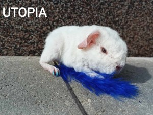 Utopia